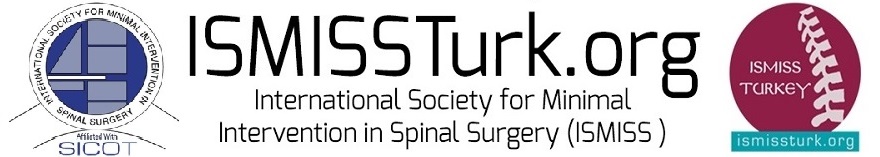 ISMISSTURK.ORG